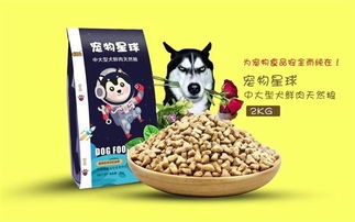 寵業(yè)新風向 從米多多貓糧到地域品牌的市場布局與加盟觀察